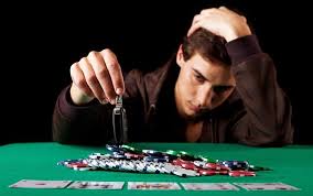 Онлайн казино Kaktuz Casino